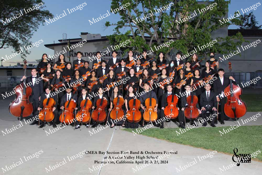 Musical Images